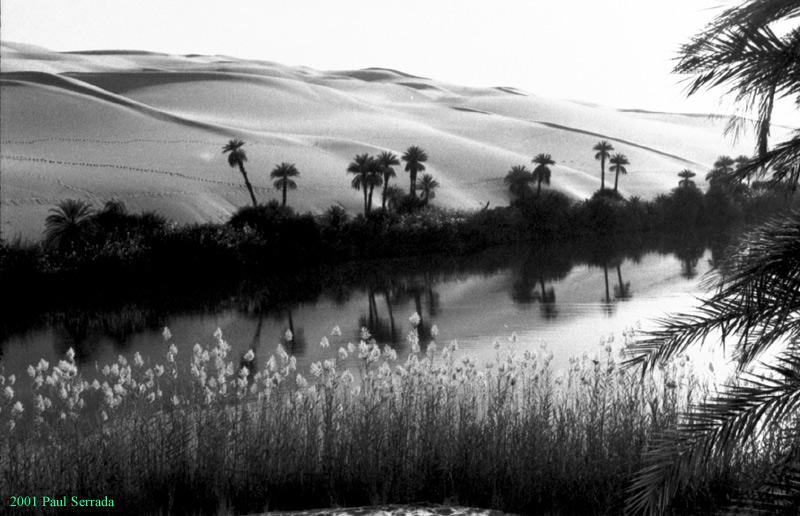Waters Mother 2001sw